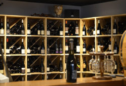 vins1 vins1