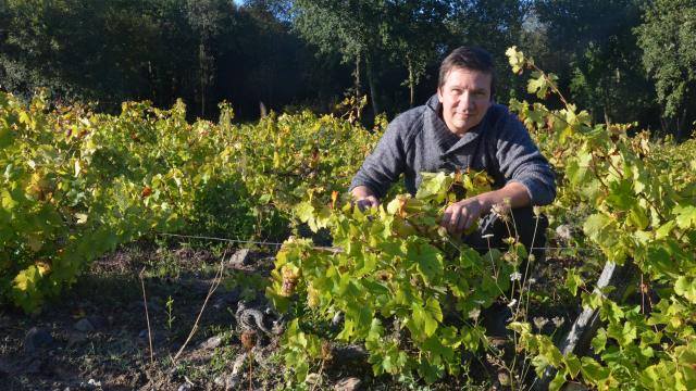 Tireuses à bière & services festifs - La cave de Chouans - Caviste en Vendée